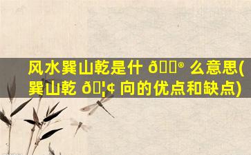 风水巽山乾是什 💮 么意思(巽山乾 🦢 向的优点和缺点)